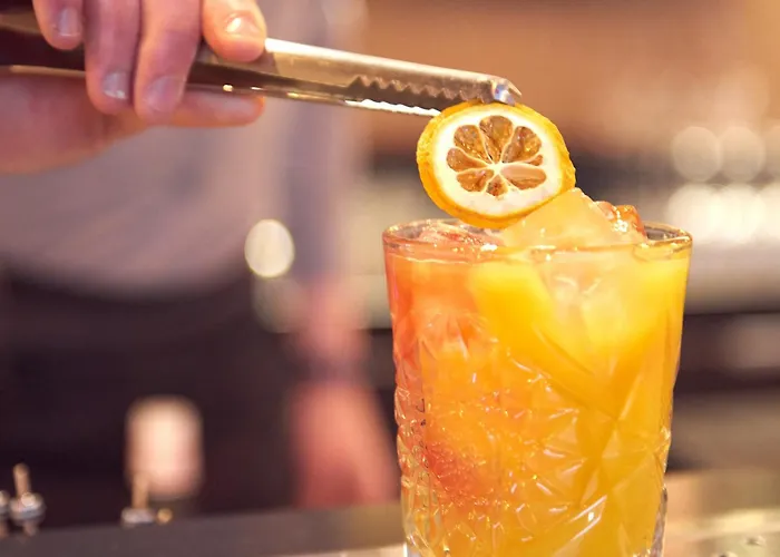 Hotel Innside By Melia Paris Charles De Gaulle Airport 4*